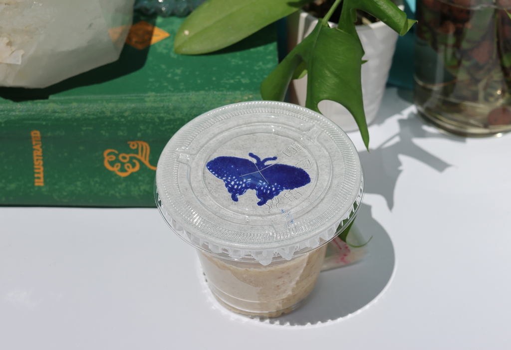 Refill Caterpillar Cups