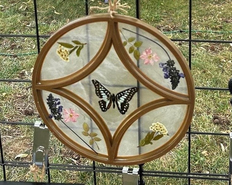 Round Framed Butterfly Window
