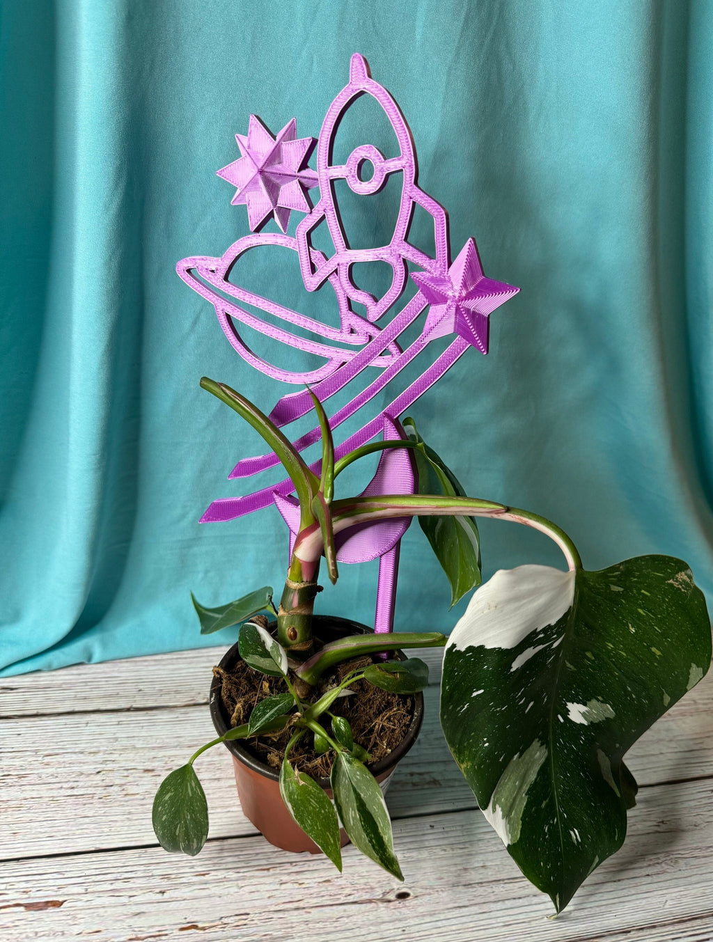 Fun Spacey Plant Support