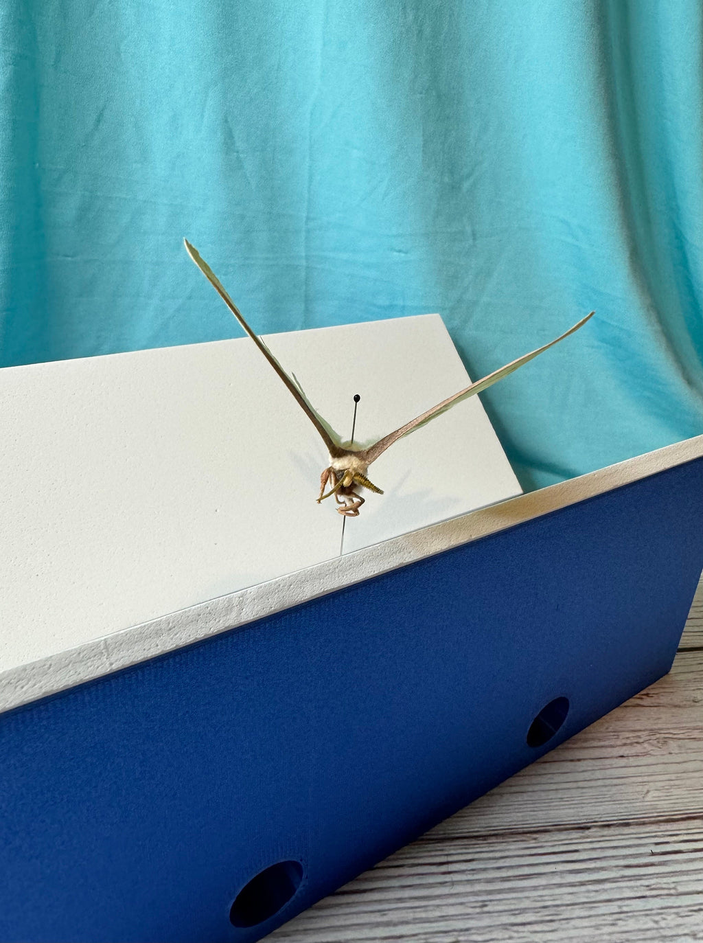 Redesigned 3D Printed Adjustable Deep V Shaped Spreading Board