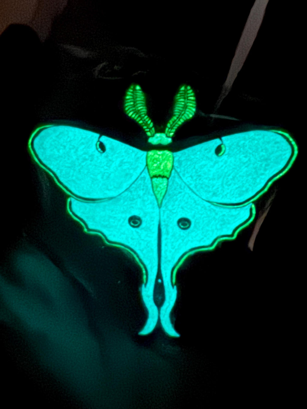 Glow-in-the-Dark Luna Moth Enamel Pin