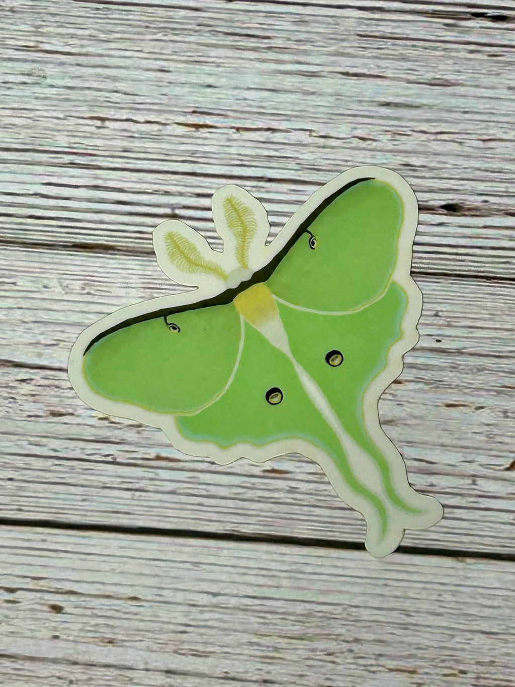 Blinque's Original Design Glow-in-the-Dark Luna Moth Sticker