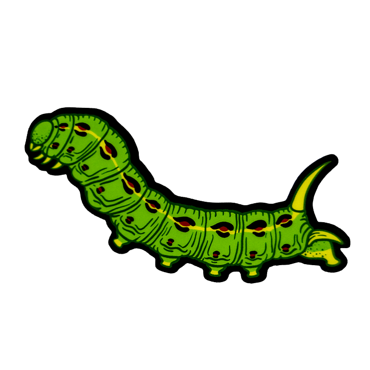 Hornworm Caterpillar Sticker