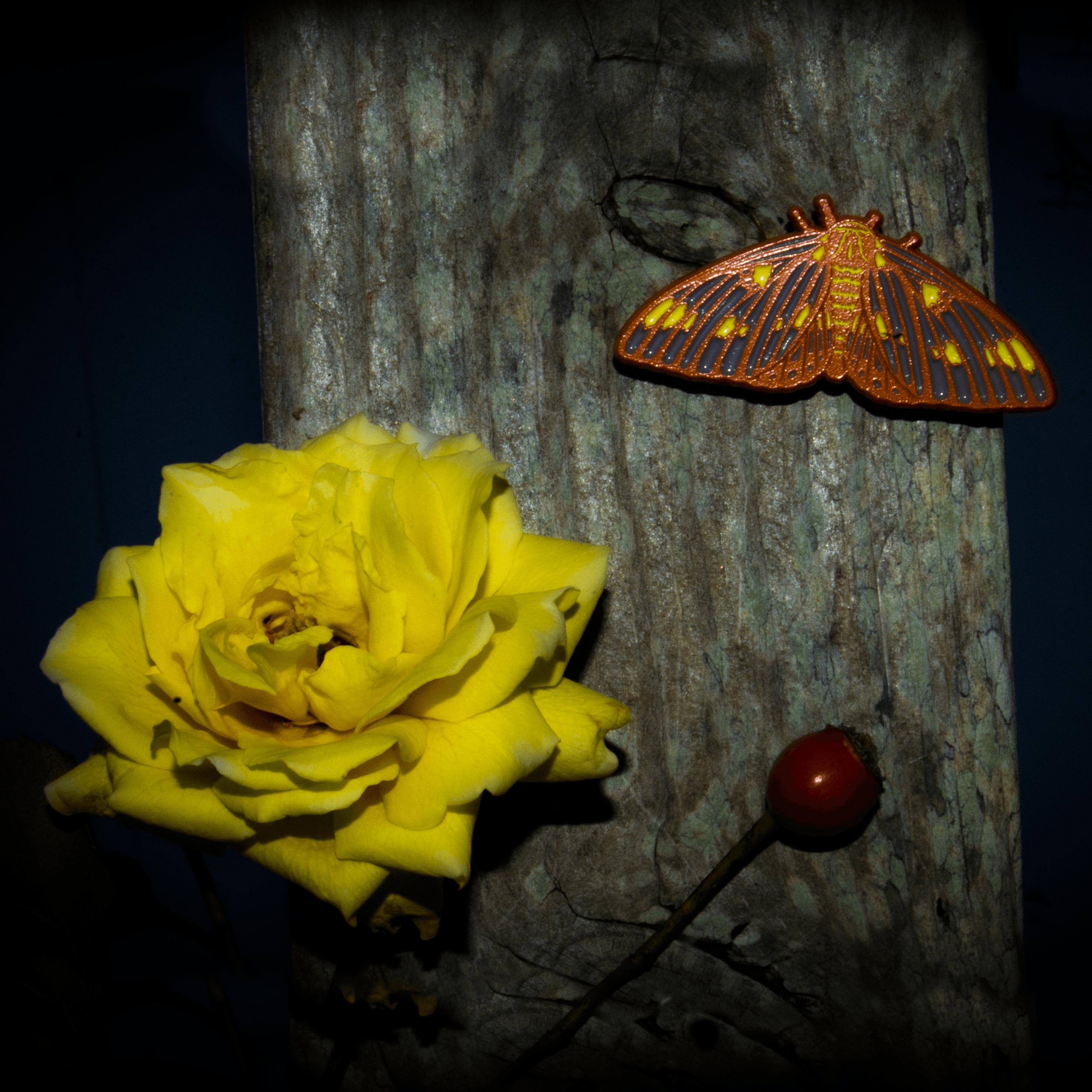 Citheronia Regalis Moth Pin