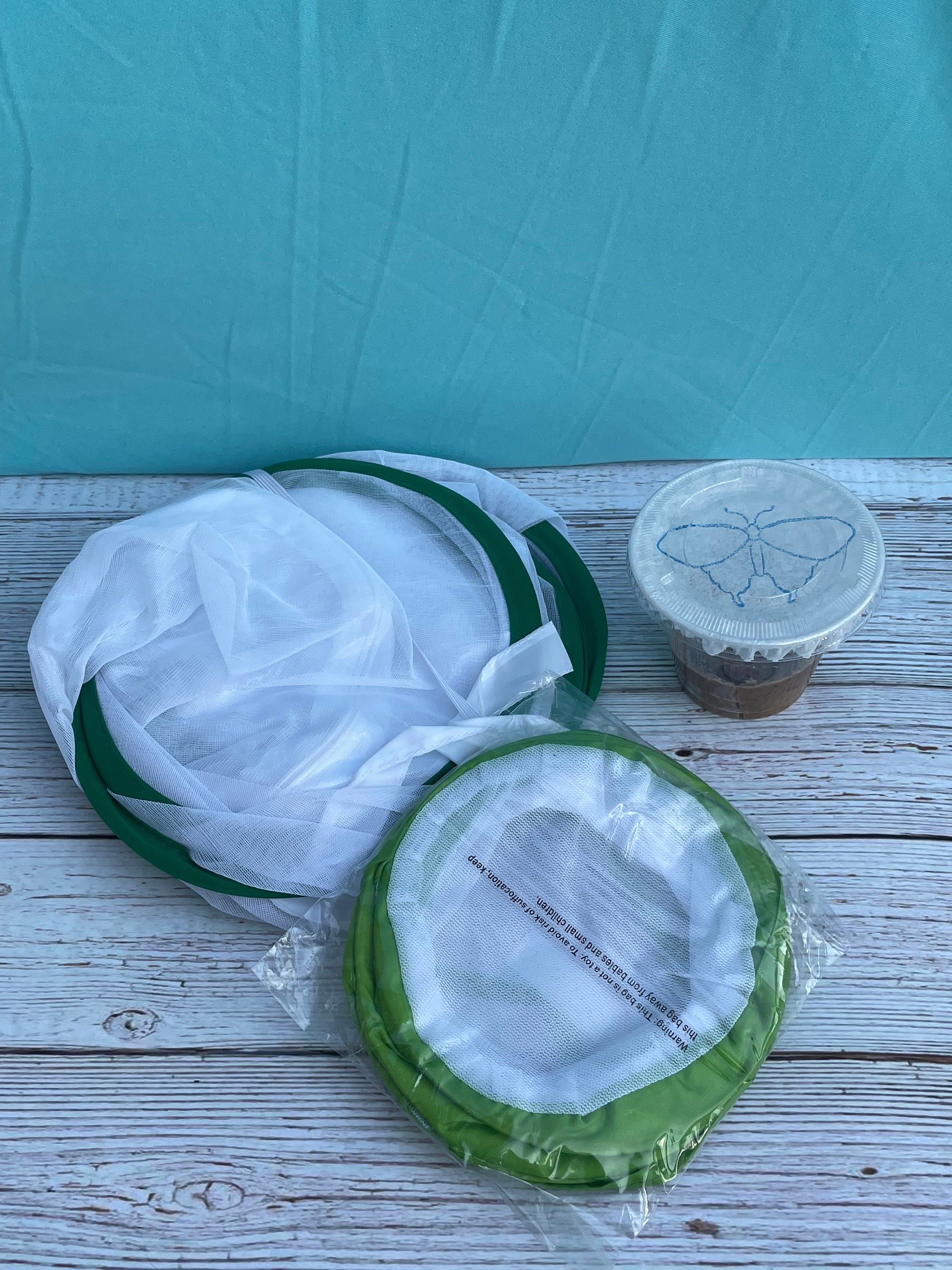 Butterfly Raising Kit with Caterpillar Cup