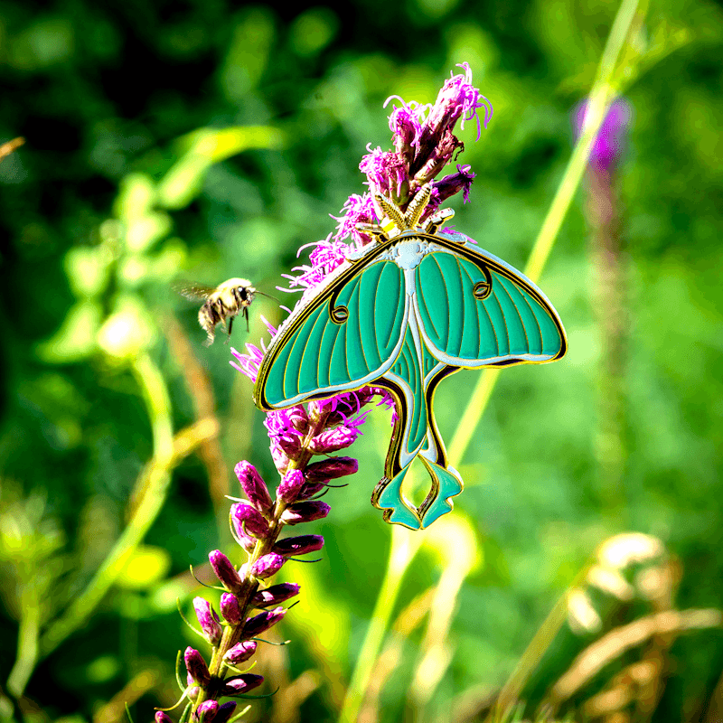 Luna Moth XL Enamel Pin